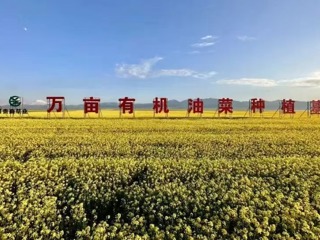 传承弘扬农垦精神 共育繁荣发展硕果