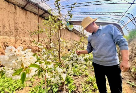【坚定信心 实干争先——深入学习贯彻习近平总书记考察青海重要讲话精神】攻坚五年过渡期！海南州开启乡村振兴加速提质新征程