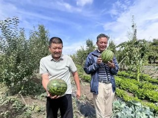 【乡村振兴在海南】小果园育大产业 科技点亮河西镇乡村振兴路