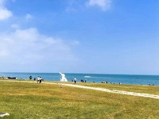 【新时代 新征程 新伟业】以青海湖国家公园建设为引擎   绘就生态保护新画卷
