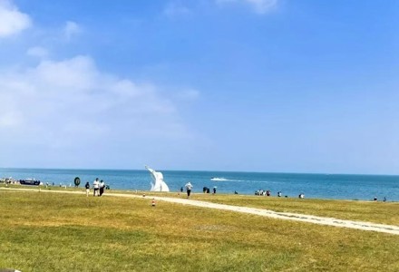【新时代 新征程 新伟业】以青海湖国家公园建设为引擎   绘就生态保护新画卷