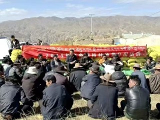 【乡村振兴在海南】德格村：油菜喜获丰收 350户村民喜分红