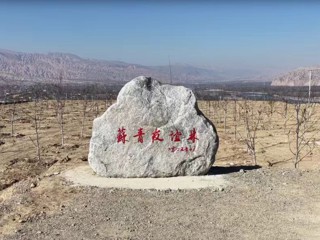 【苏青携手 共绘高原新图景】苏青携手种“金果” 山坪台忙出好日子