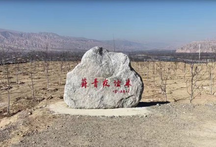 【苏青携手 共绘高原新图景】苏青携手种“金果” 山坪台忙出好日子