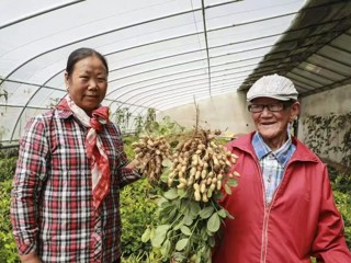 【回眸2025】民族团结织锦绣 同心共暖一家春——海南州推进民族团结进步创建工作纪实