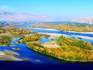 【我们这五年】高原之上 绿意书写新答卷