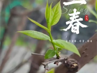 立春 | 万物复苏 春回大地 