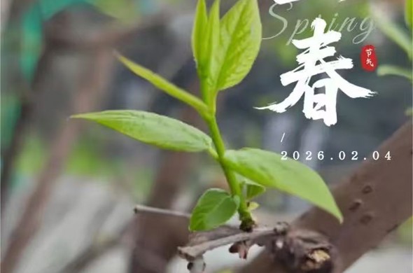 立春 | 万物复苏 春回大地 