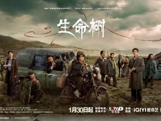 《生命树》：唯生命方能礼赞生命