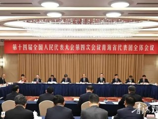 青海代表团认真审议政府工作报告