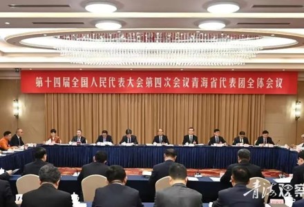 青海代表团认真审议政府工作报告