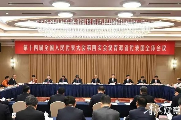 青海代表团认真审议政府工作报告