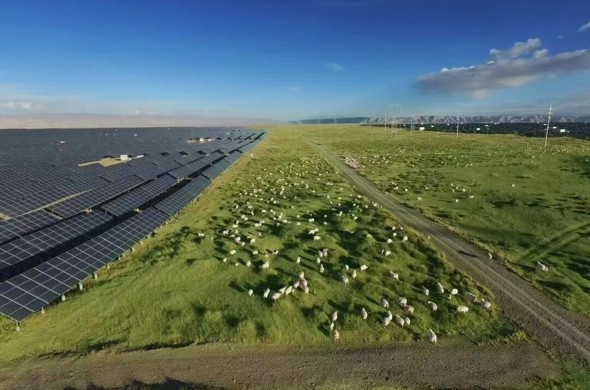 【生态海南】海南州城市建成区无黑臭水体 全域环境持续向好