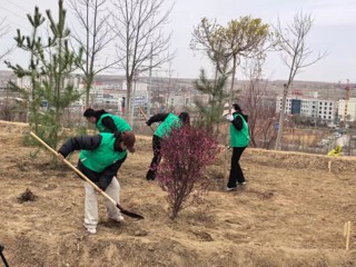 【生态海南】春雨润高原植树正当时——海南州2026年全民义务植树活动正式启动
