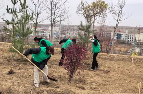 【生态海南】春雨润高原植树正当时——海南州2026年全民义务植树活动正式启动