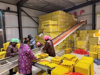 【喜迎党代会】沃土生金兴产业 和美乡村踏新程  