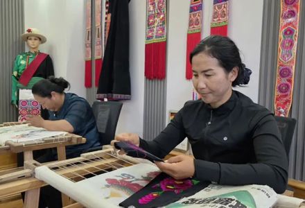 【乡村振兴在贵南】一针一线 巧手绣出好日子！