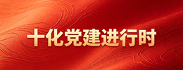 “十化”党建进行时